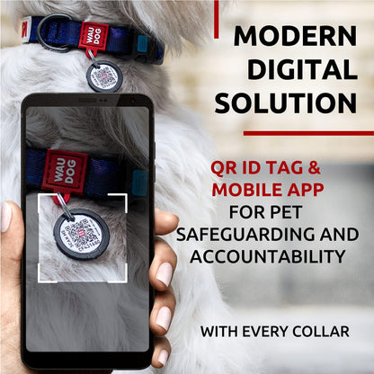 Adjustable Dog Collars – S to L