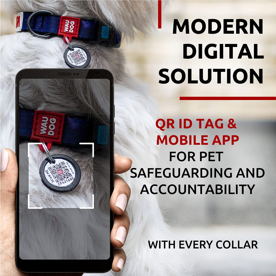 Adjustable Dog Collars