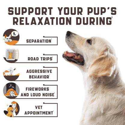 Calming Chews for Labrador Dogs with Valerian Root and Hemp Oil