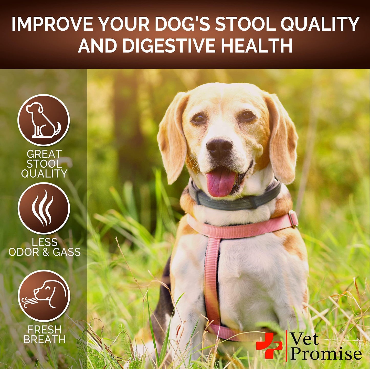 Probiotic Stool Softener For Dogs