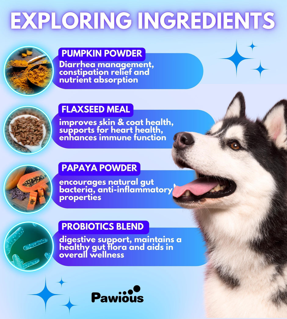 Masticables de apoyo digestivo para perros.