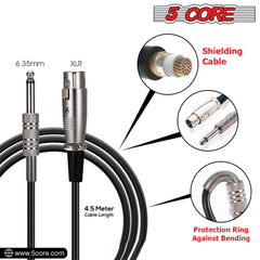 5Core XLR Microphone