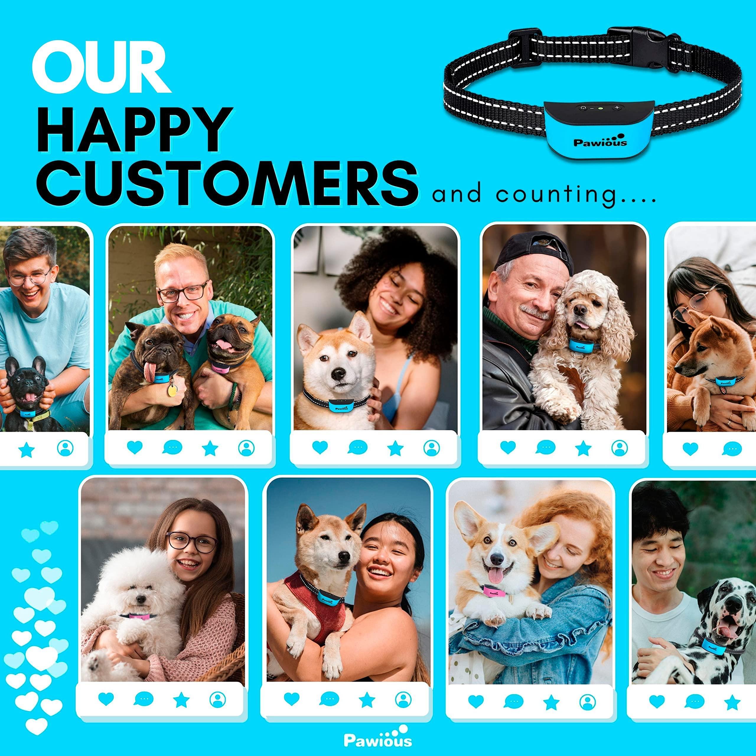 Collares antiladridos para perros pequeños.