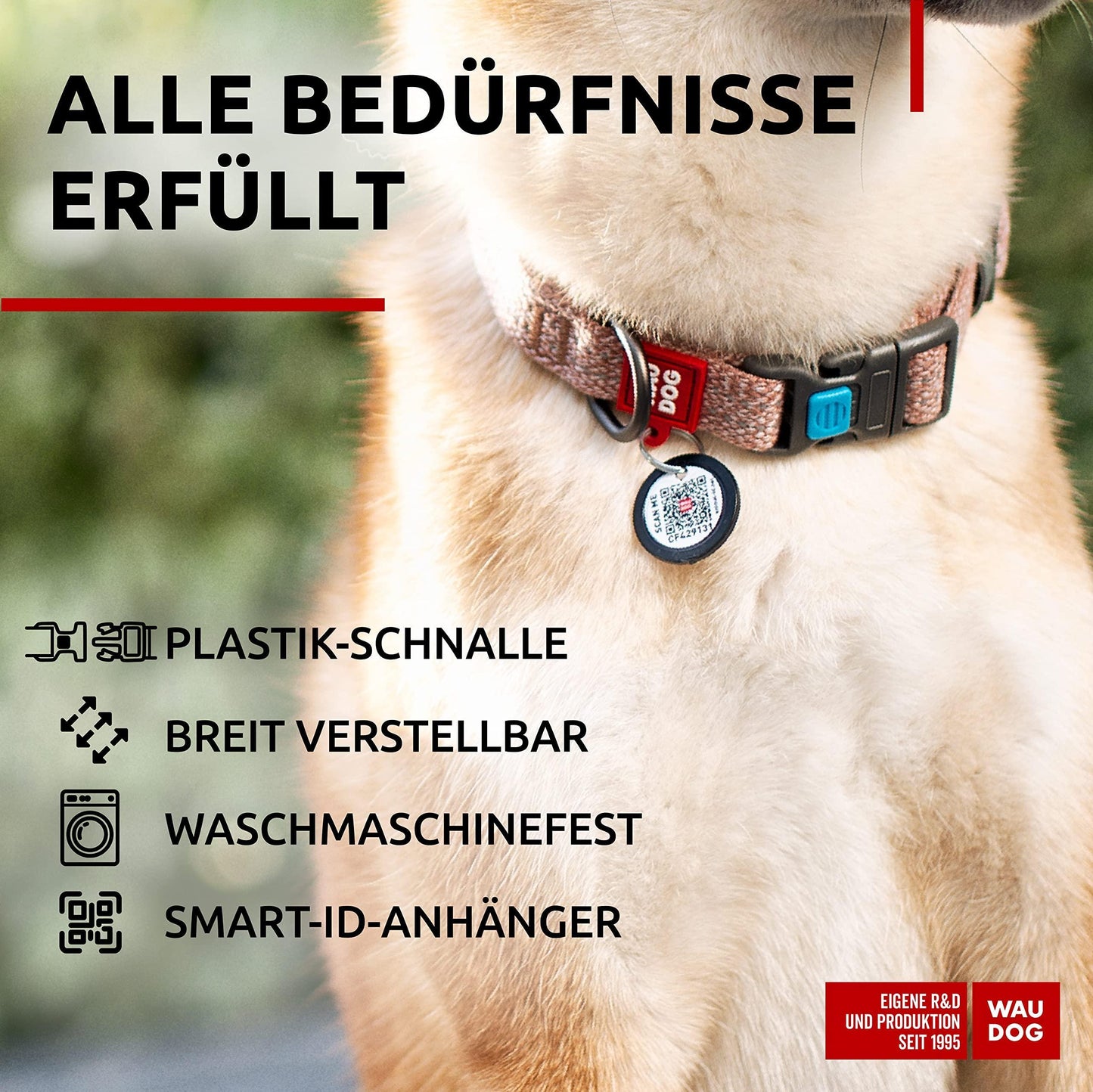 Reflective Dog Collars – S to XL