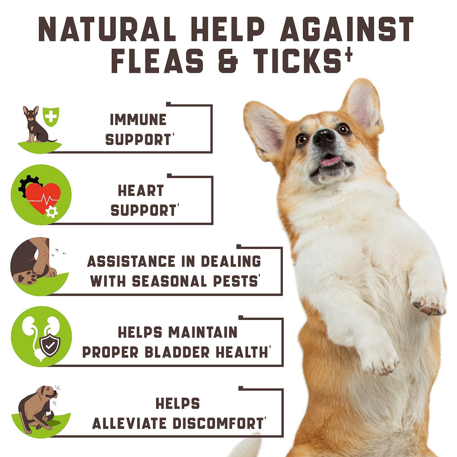 Flea Tick Chews