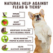 Flea Tick Chews