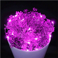 AMZER Fairy String Light 50 LED 5m Waterproof AA Battery Operated