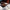 Crimson Tea Polarized Shades