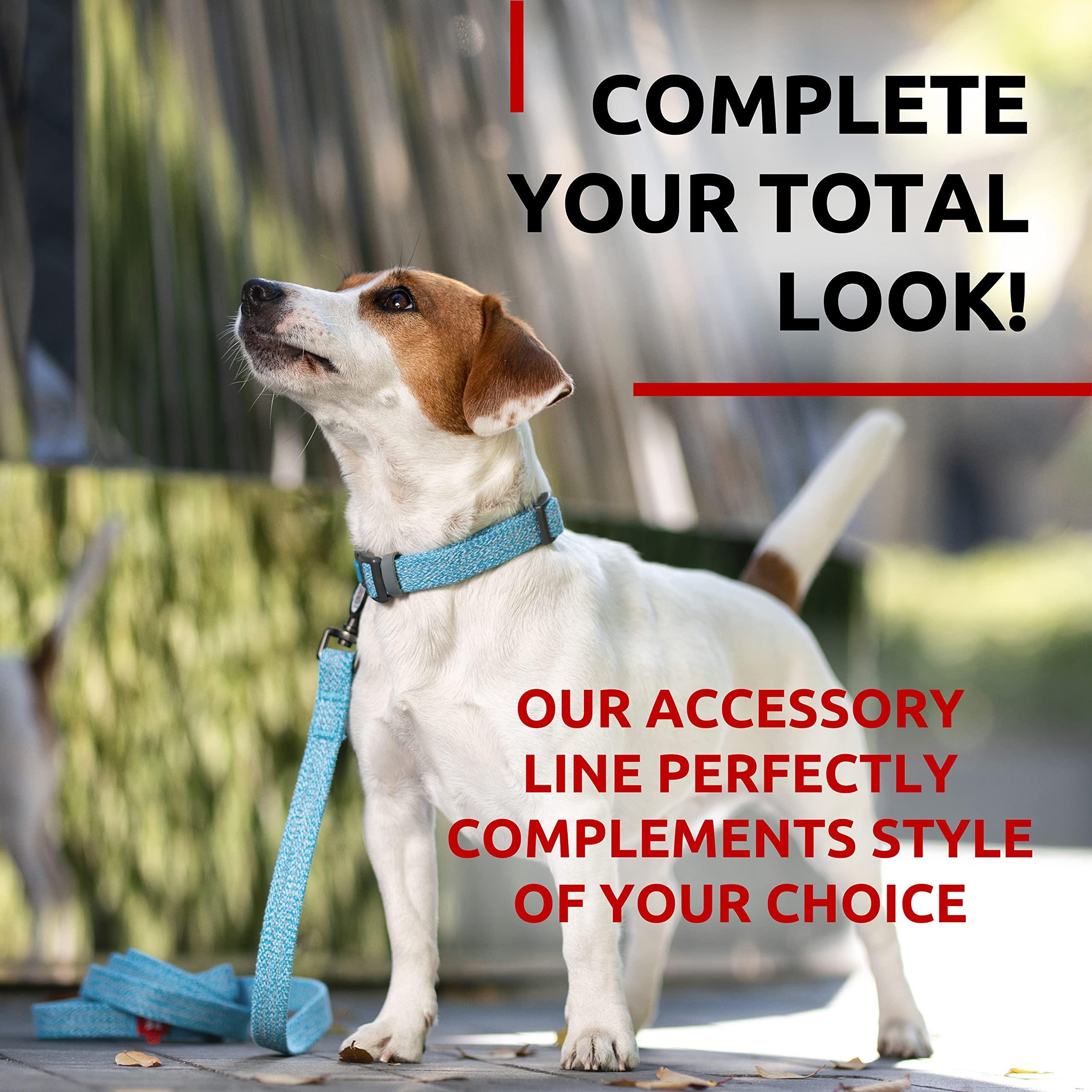 Eco Pup Leash