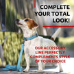 Eco Pup Leash