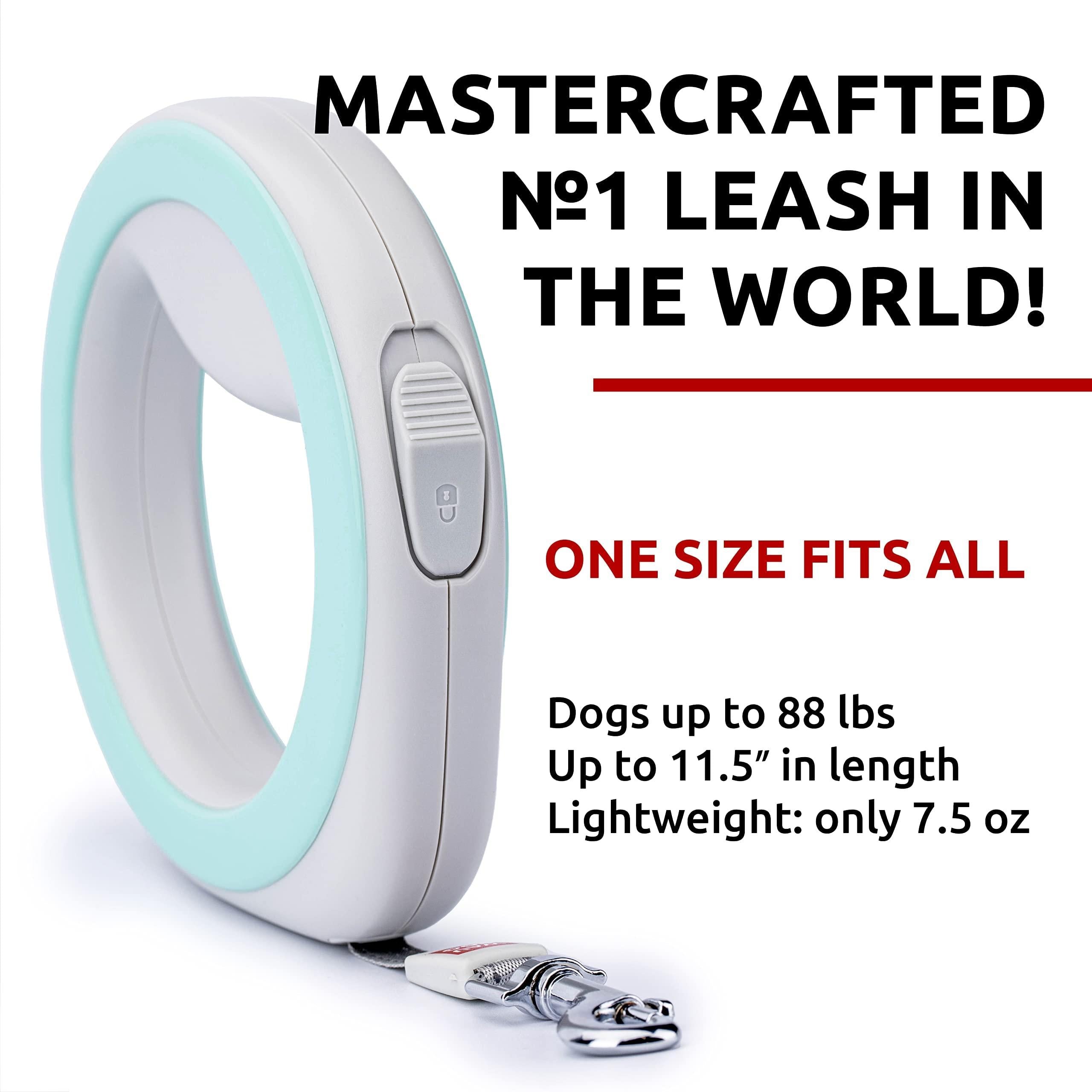 Hands-Free Dog Leash