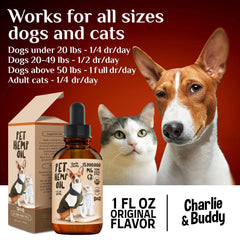 Huile de chanvre pour animaux de compagnie pour chats et chiens Soutien articulaire