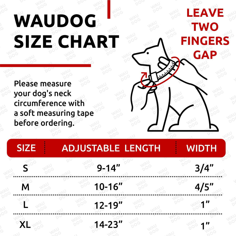 Adjustable Dog Collar