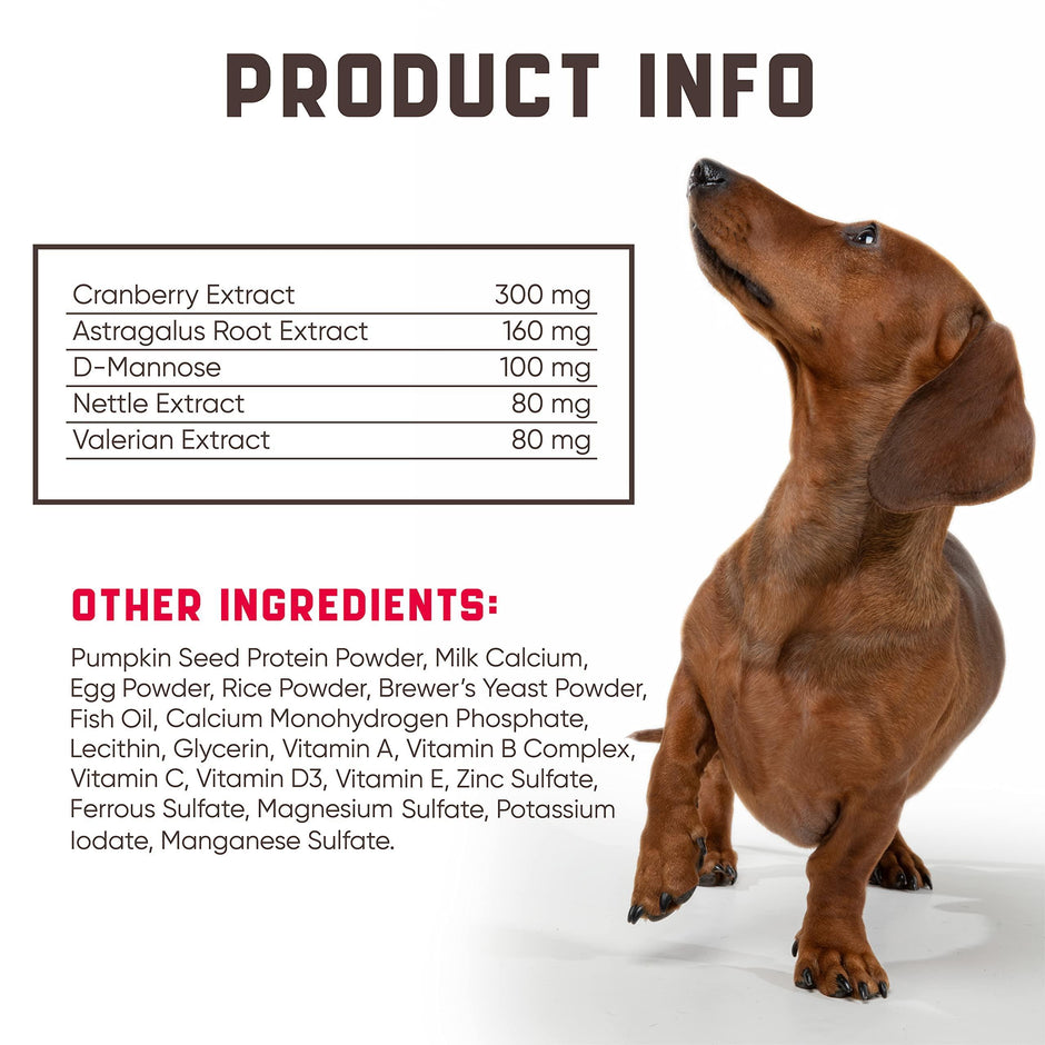 Suplemento natural de arándano para perros (180 comprimidos masticables)