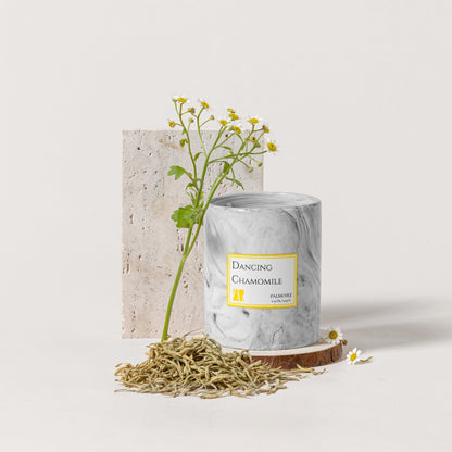 Ceramics Bundle Set