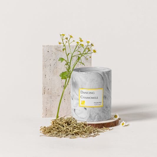 Ceramics Bundle Set