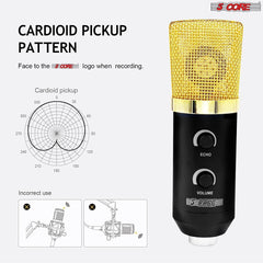 5Core Recording Microphone Podcast Bundle Professional Condenser