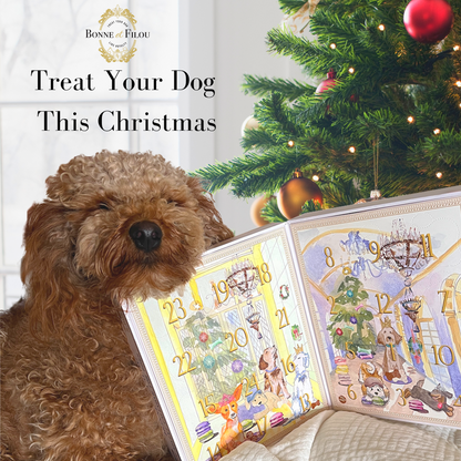 Dog Advent Calendar