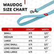 Eco Pup Leash