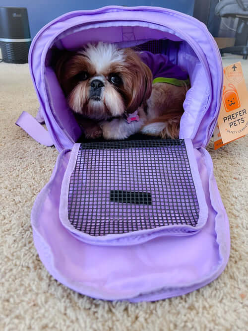 Sac de sport pour animaux Hideaway 312