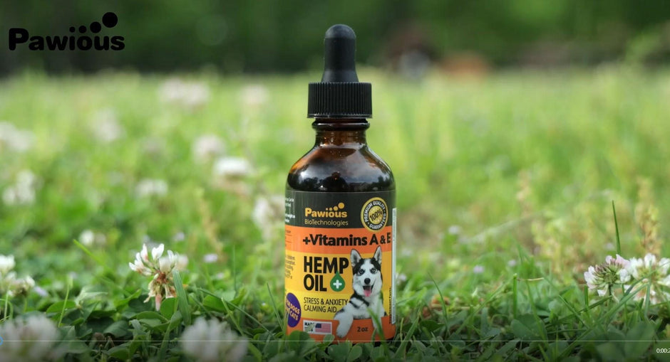 Huile de chanvre pour chiens et chats 2 oz.