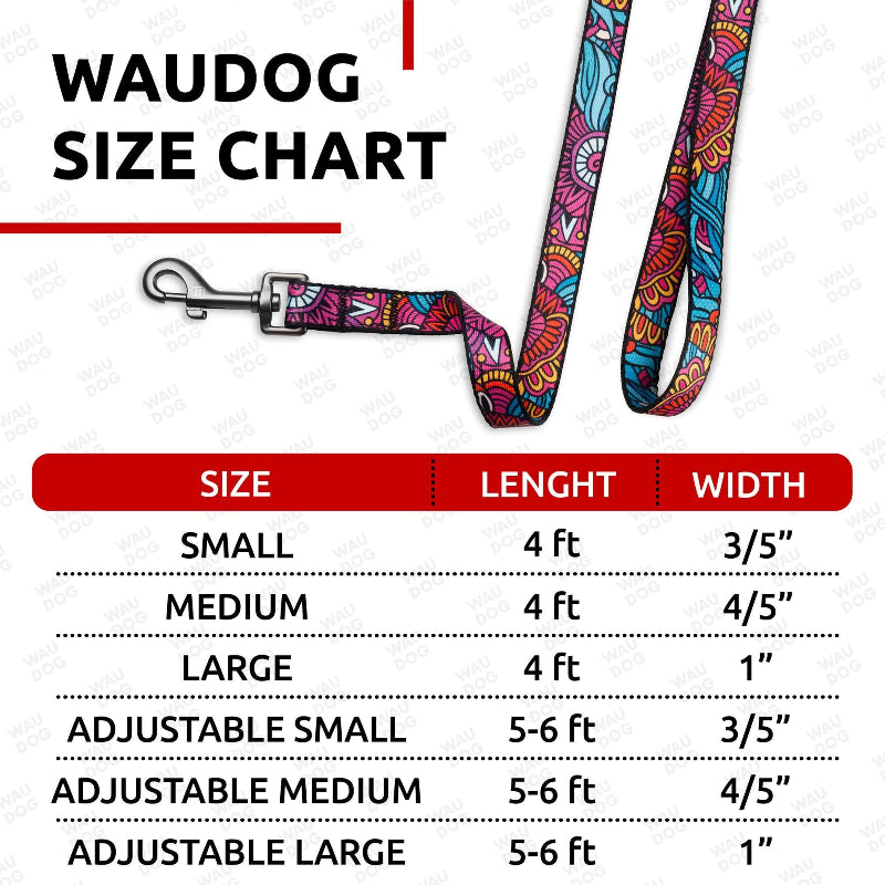 Nylon Dog Leash