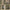 Military Tactical Backpack
