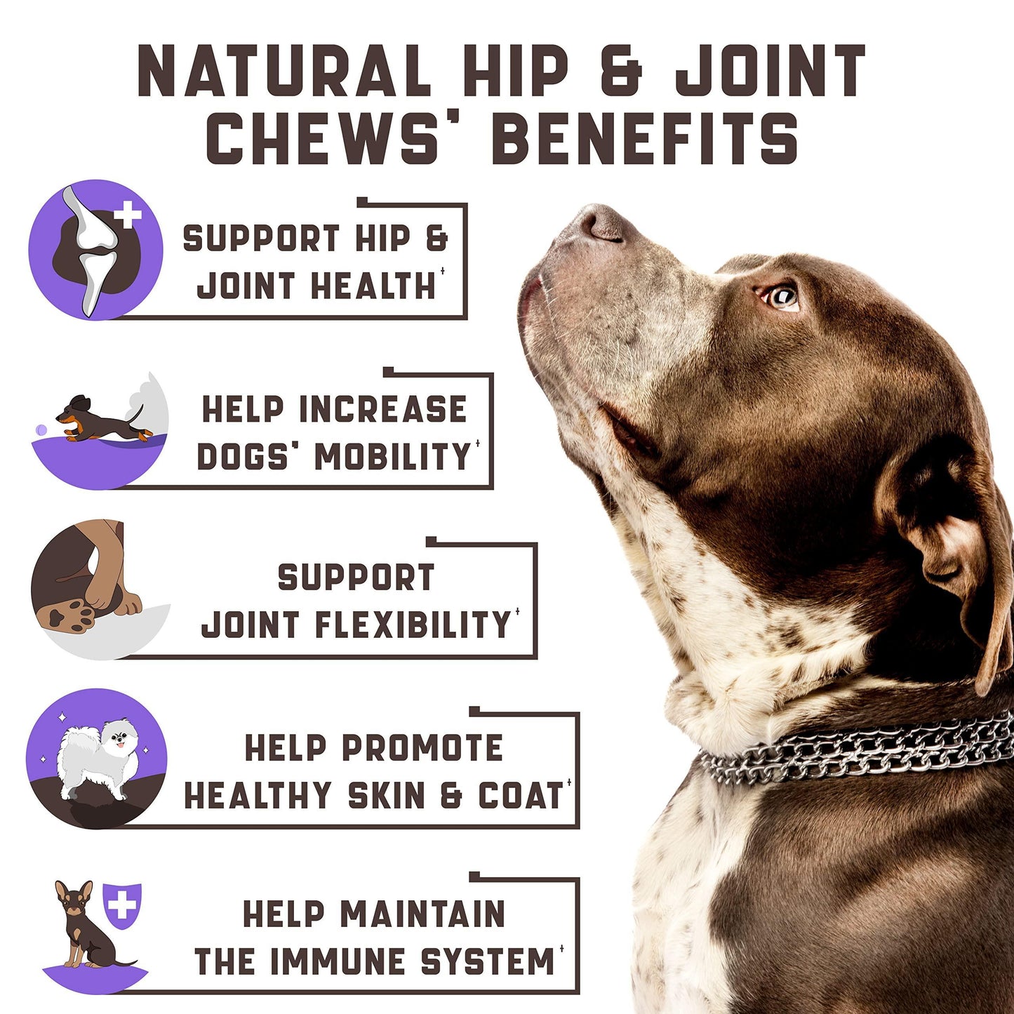 Glucosamine Dog Joint Support Chews 180ct