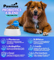 Masticables de apoyo digestivo para perros.