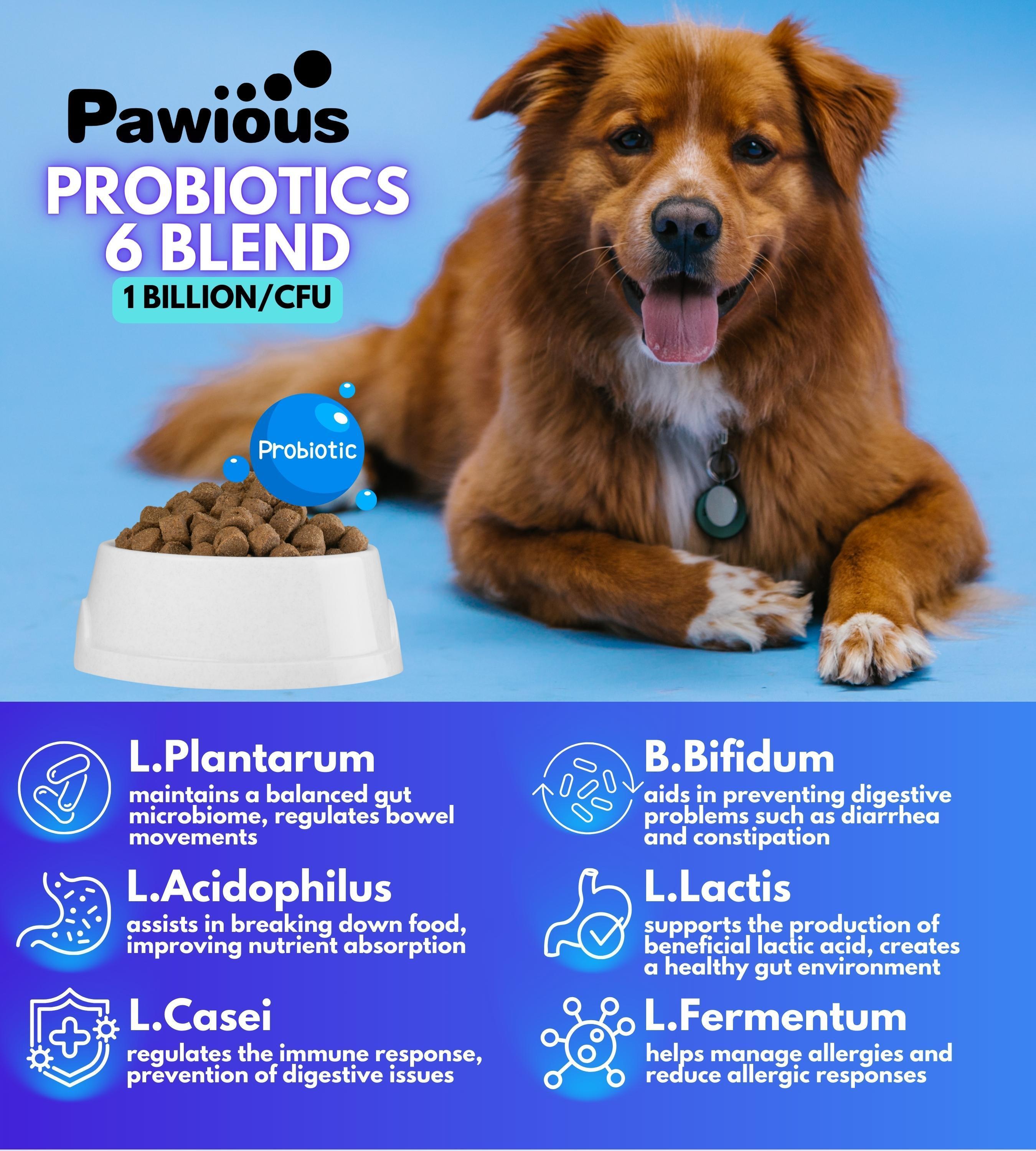 Masticables de apoyo digestivo para perros.