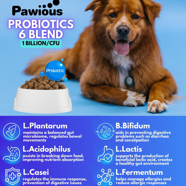 Masticables de apoyo digestivo para perros.