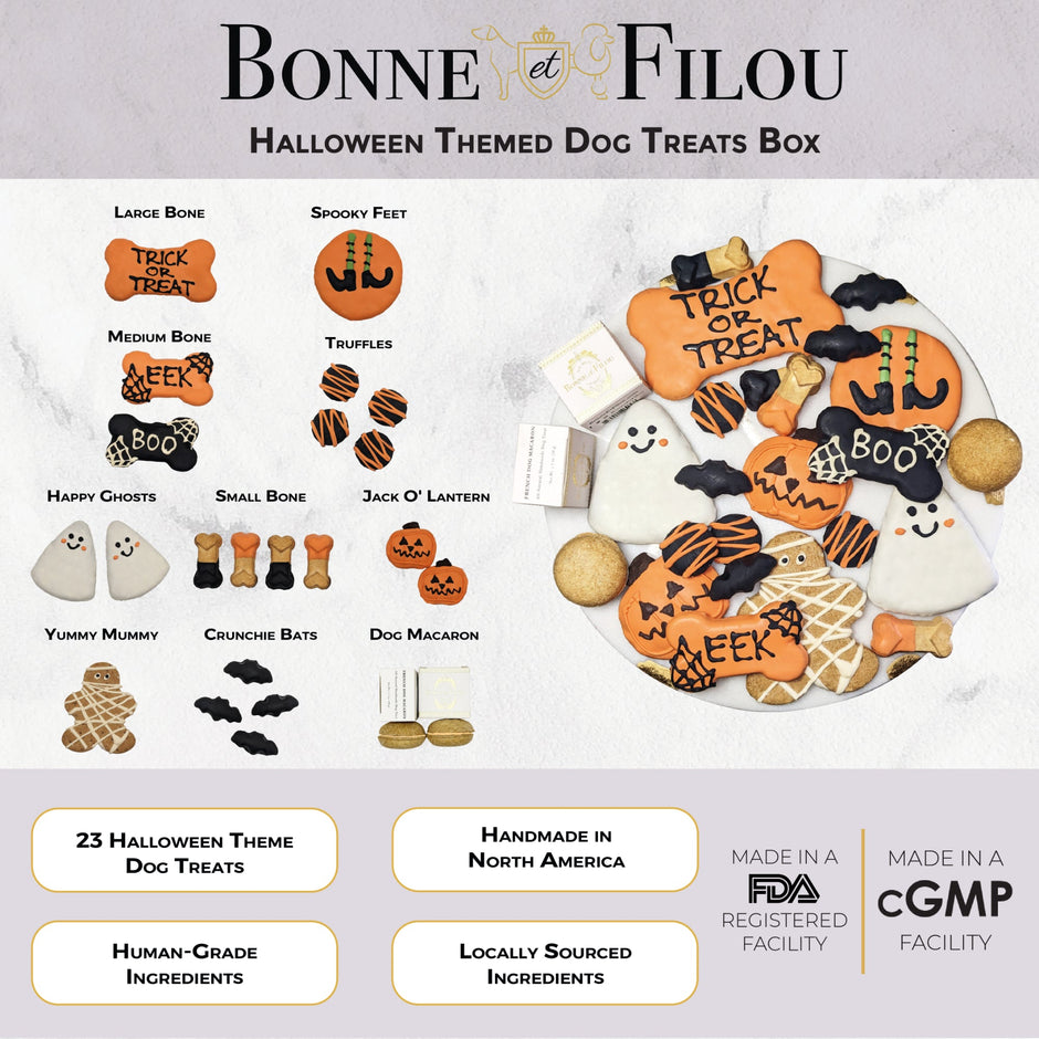Dog Treats Gift Box