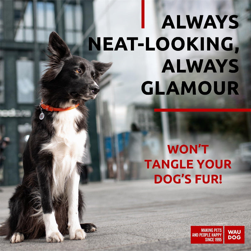 Ultra Leather Collar