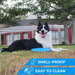 Active Pup Flyer