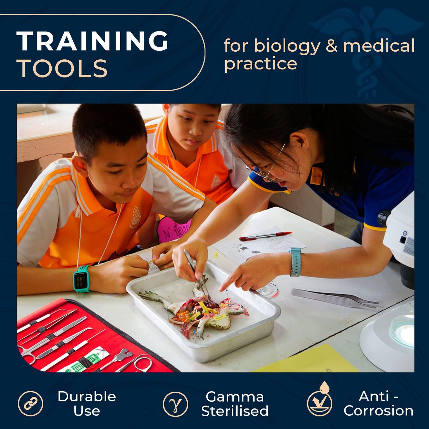 Advanced Dissection Kit with Stainless Steel Tools