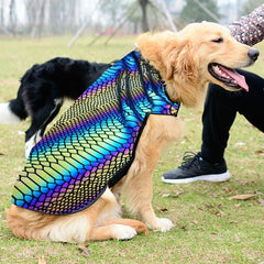 Le gilet holographique pour chien Lumination