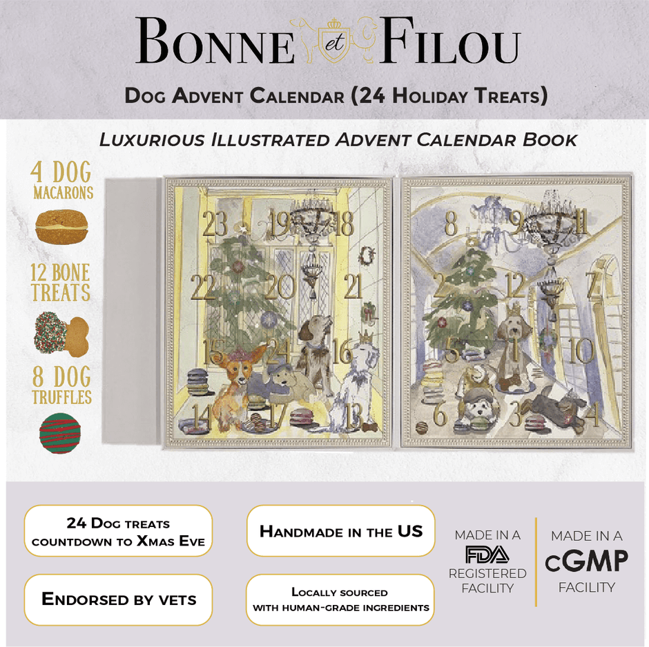 Valentine Pizza Dog Bandana