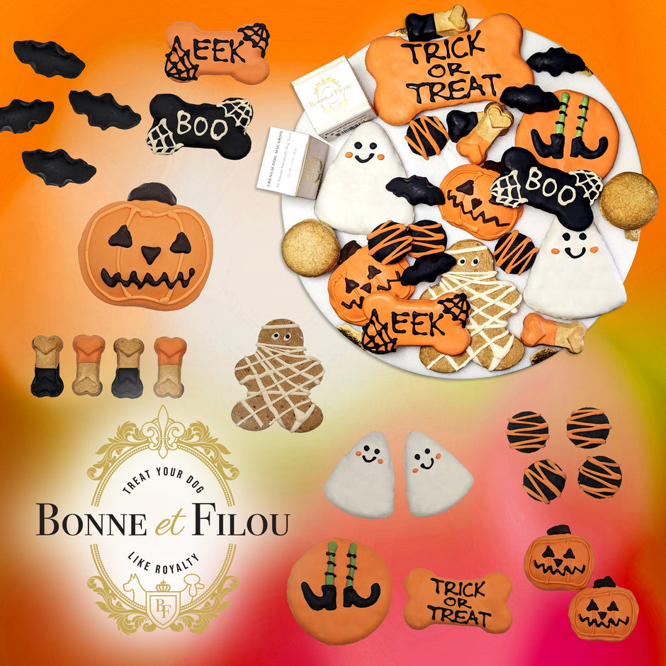 Dog Treats Gift Box