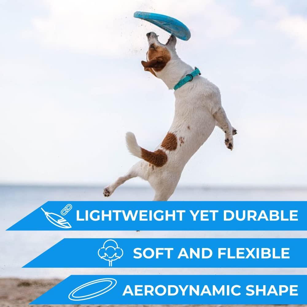 Active Pup Flyer