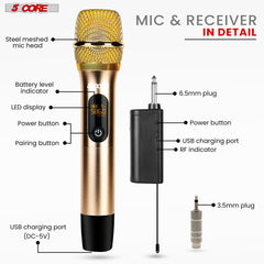 5Core Wireless Microphone Pair