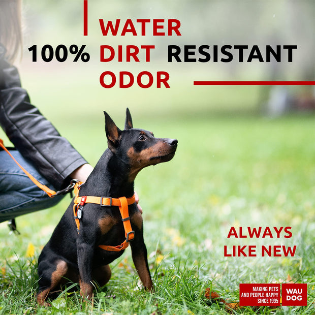Adjustable Dog Harness Pro