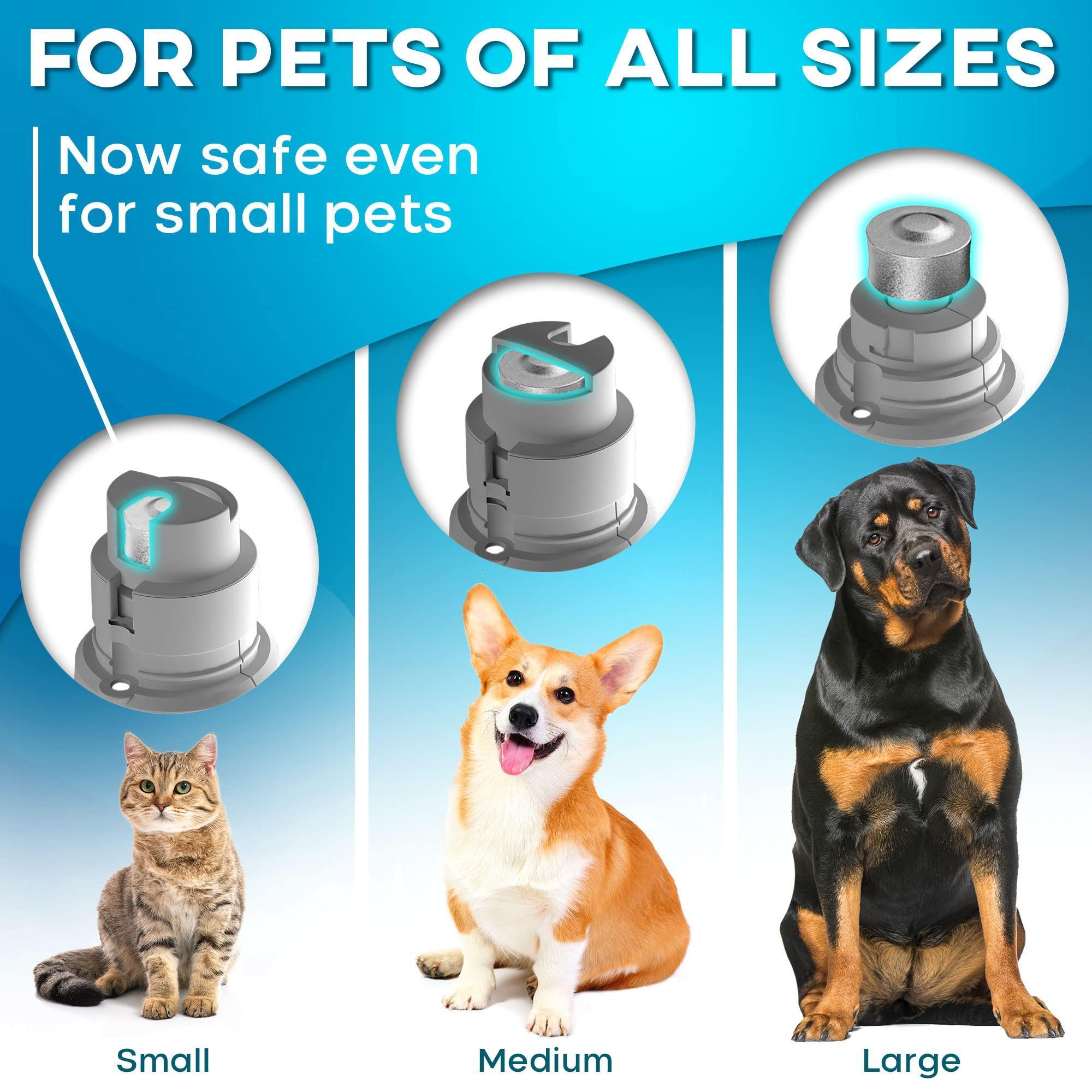 LED Dog Grinder