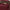 5f55b5f1-9672-4a98-a512-103379d29197-Max