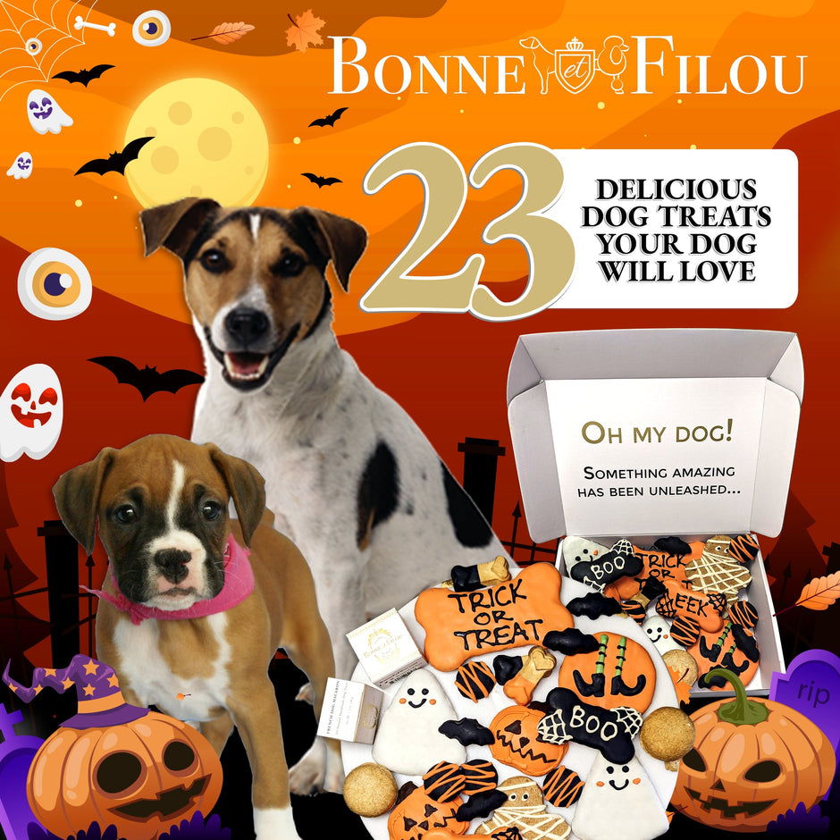 Dog Treats Gift Box