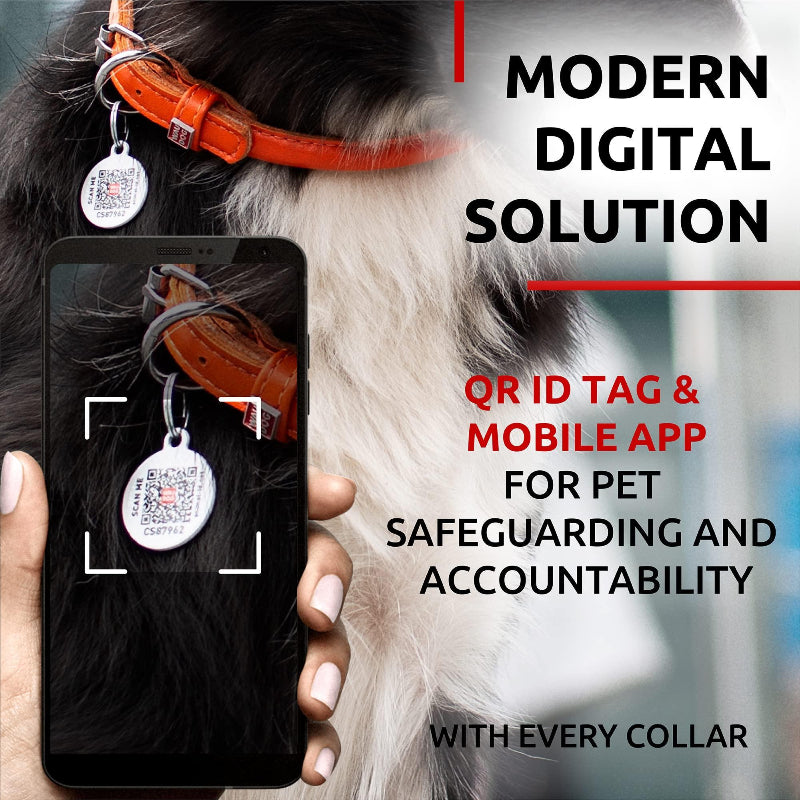 Ultra Leather Collar