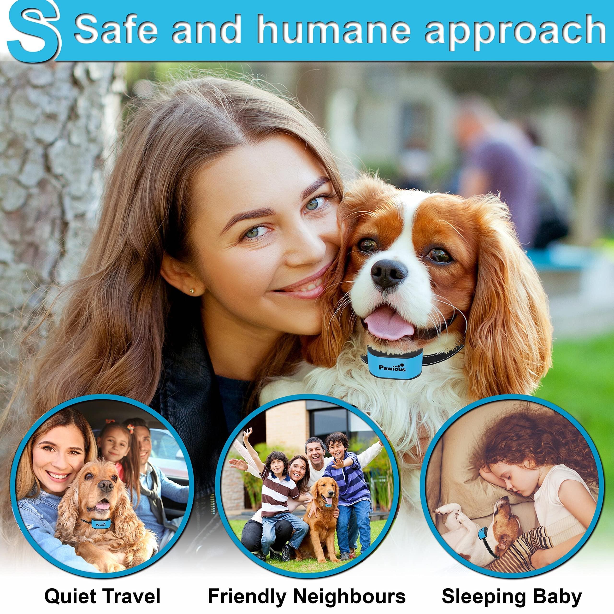 Collares antiladridos para perros pequeños.
