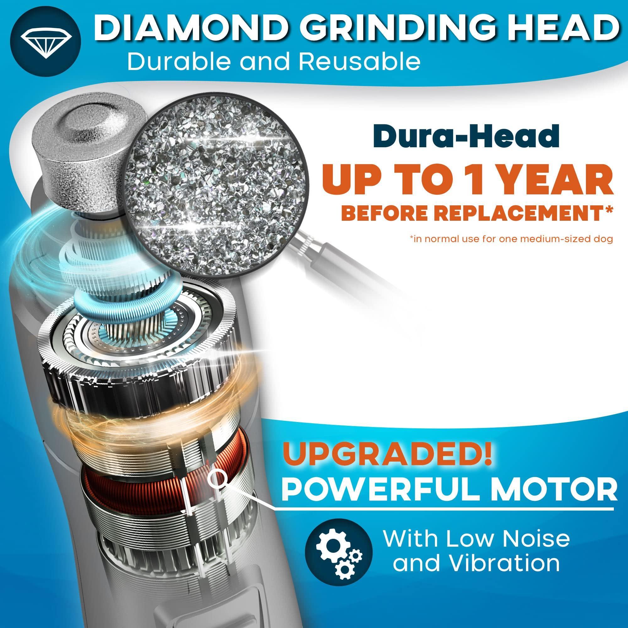 LED Dog Grinder