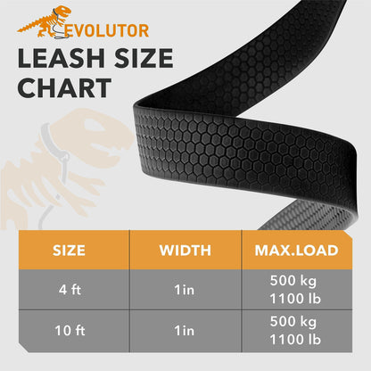 Evolutor Extra Heavy Duty Dog 10 Ft   Durable Leash for Large Dogs