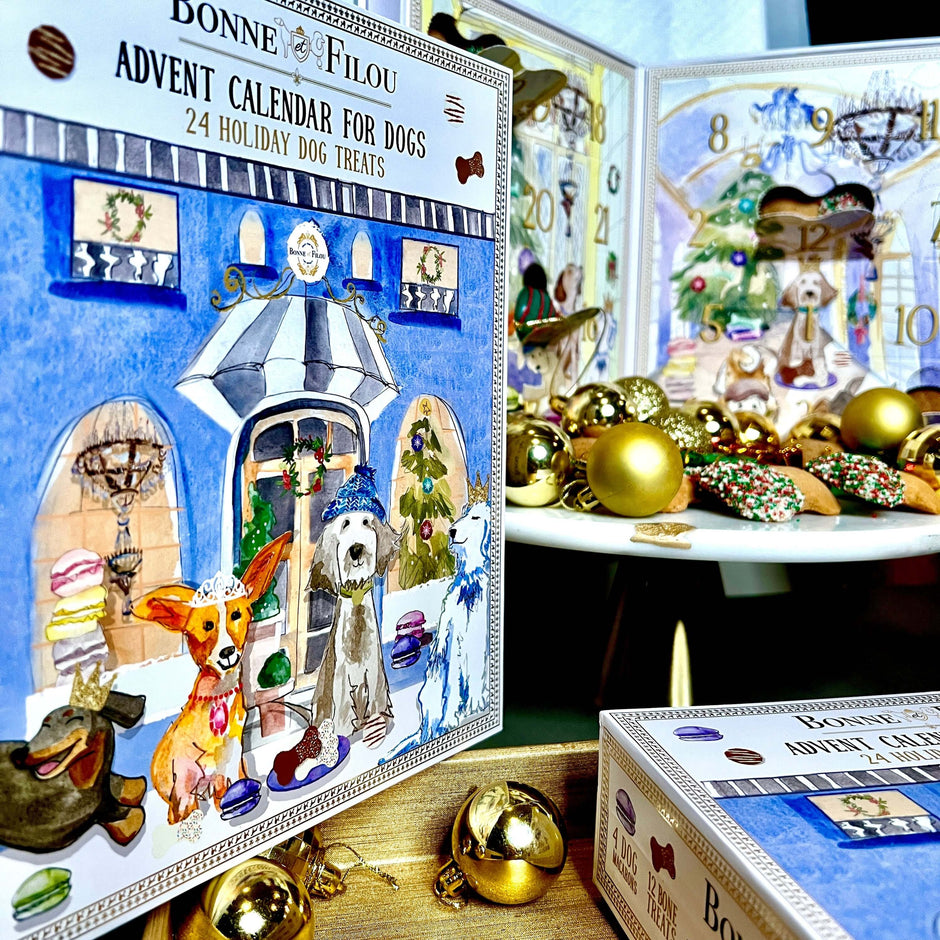 Valentine Pizza Dog Bandana