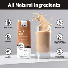 Slate Milk - Batido de leche con alto contenido de proteínas - Paquete variado básico - Clásico